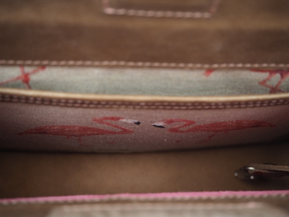 rood-flamingo - foto 5